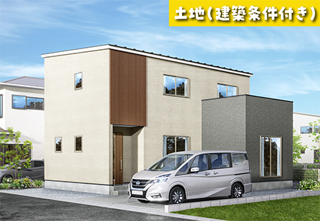区画No.6