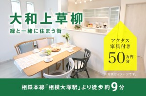 大和上草柳