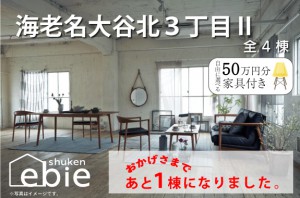 【海老名大谷北3丁目Ⅱ】充実設備とハイデザインの家