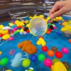 ワクワクなスーパーボールすくい