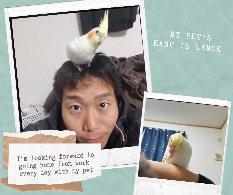 鳥たち