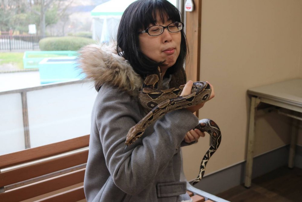 ヘビ 動物 首に巻く 阿蘇カドリードミニオン