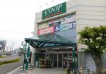 みやぎ生協 黒松店