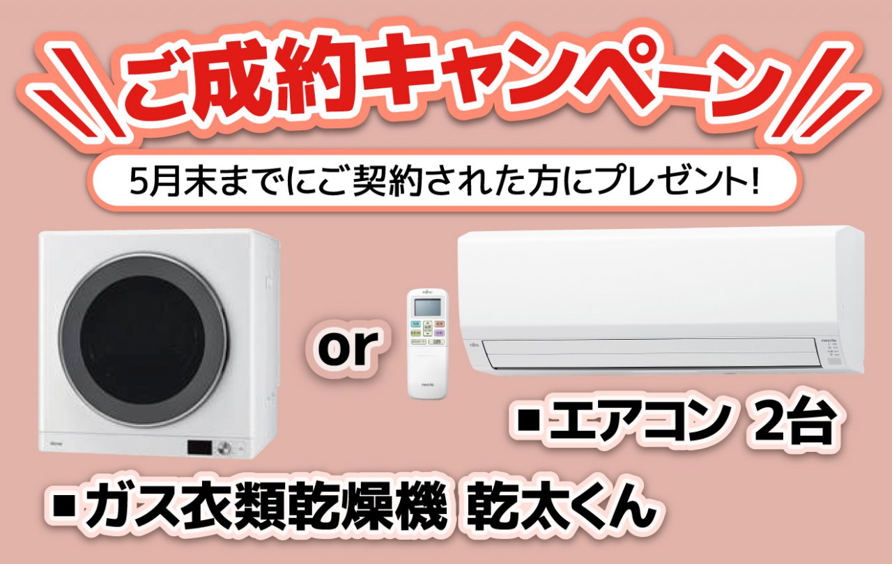 写真5