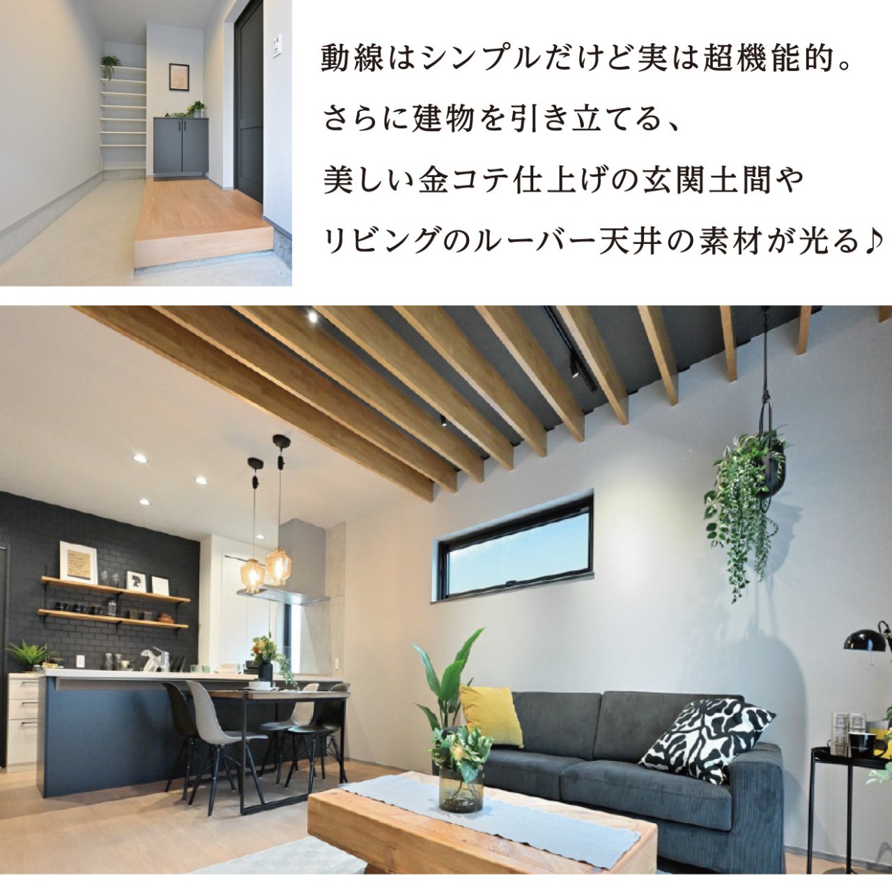 写真2