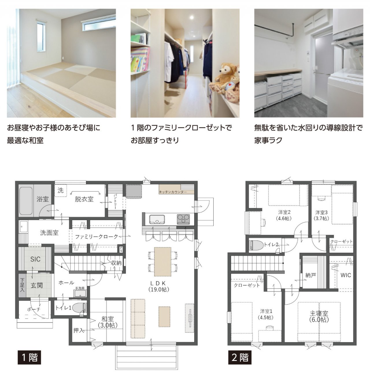 写真2