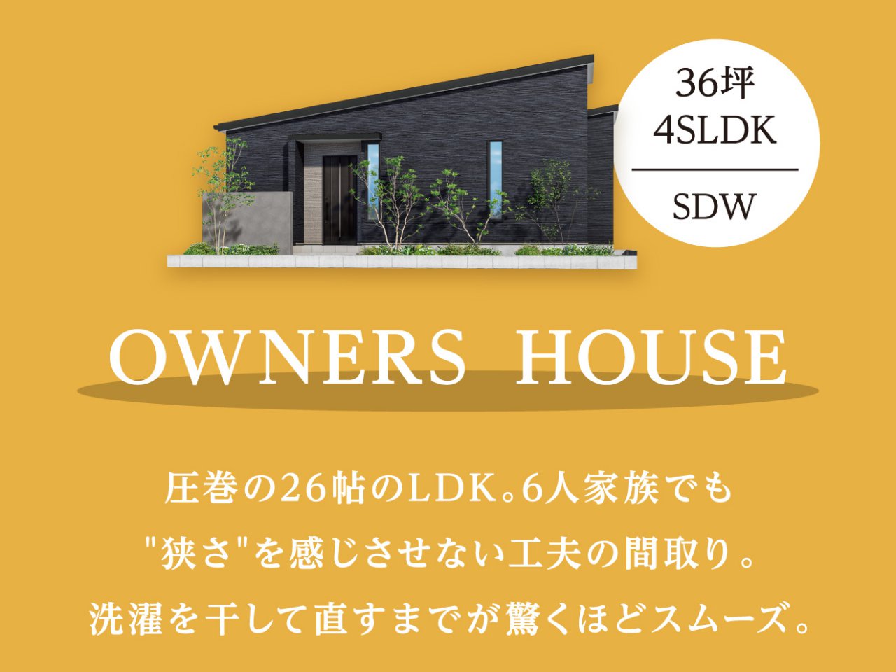 写真5