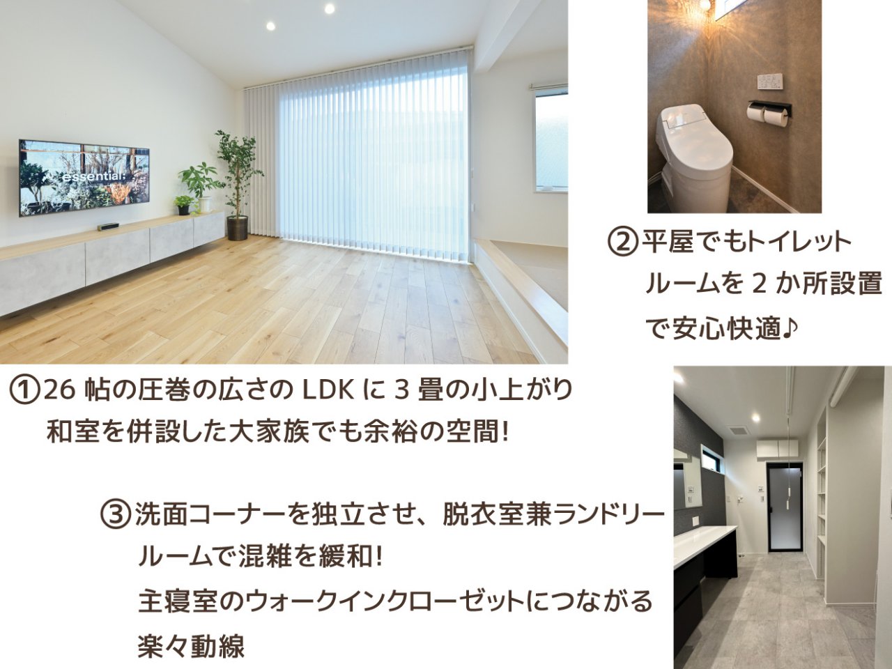 写真6
