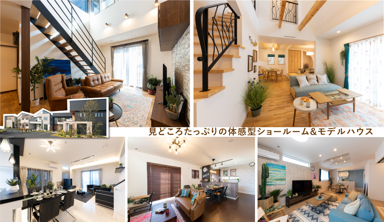写真4