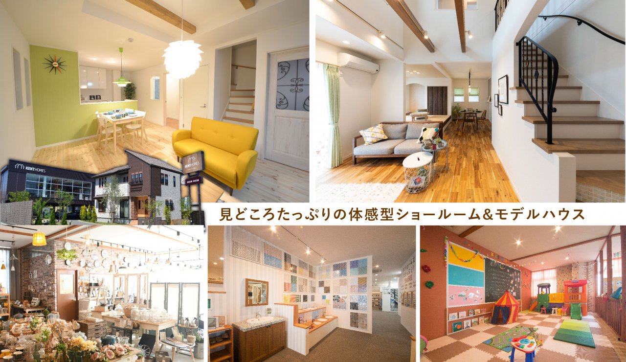 写真5