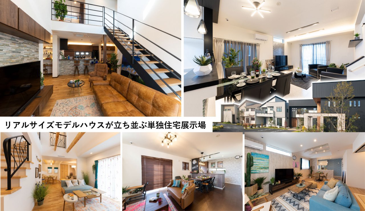 写真5