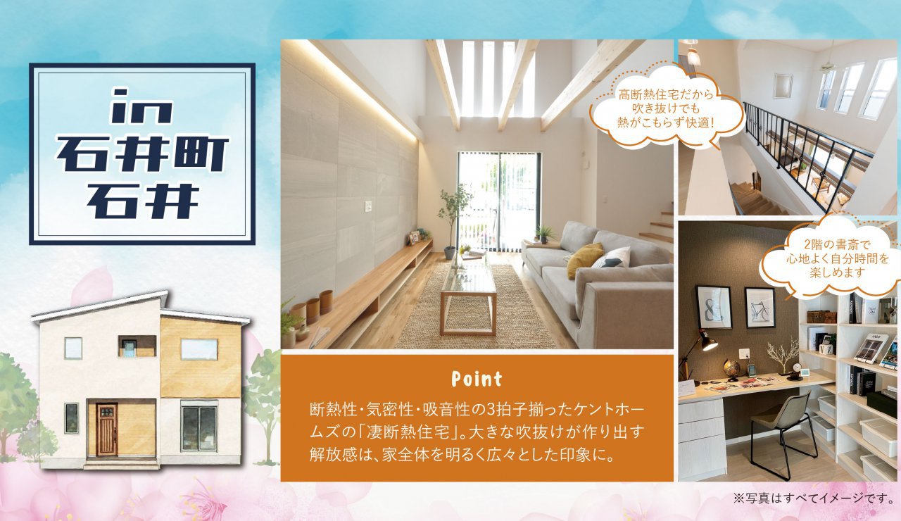 写真2