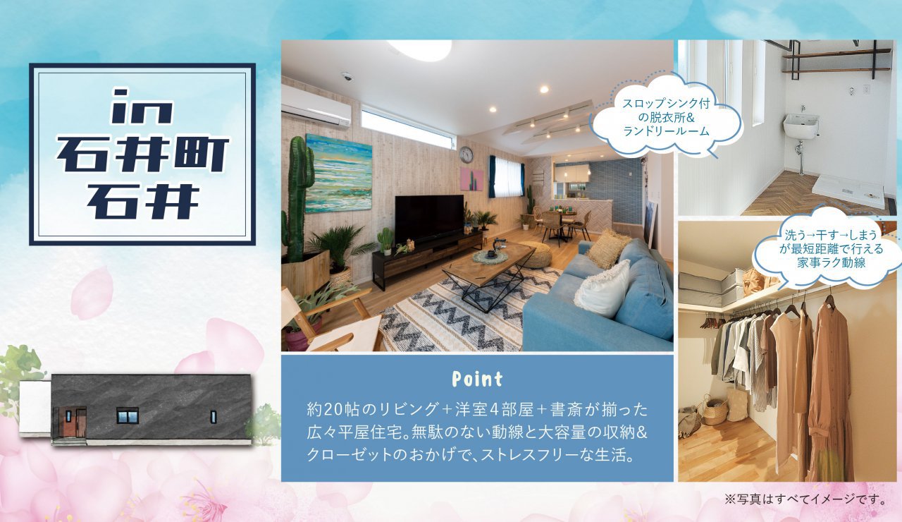 写真3