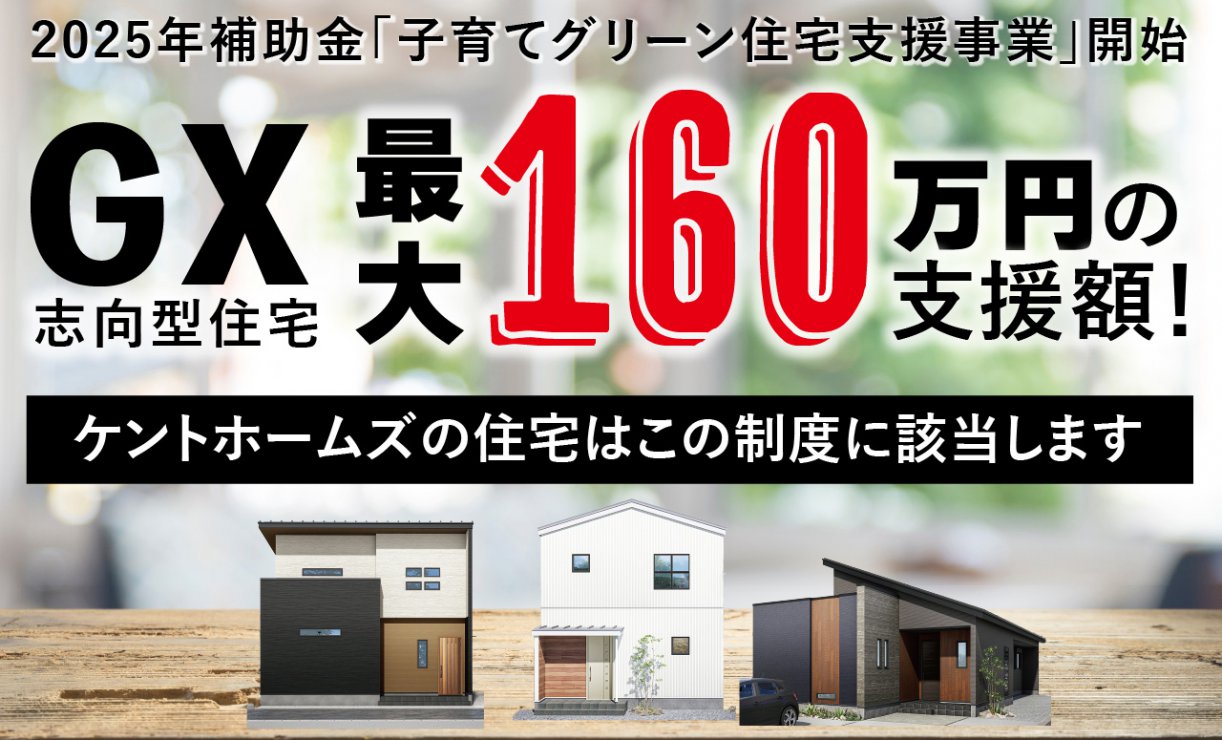 写真4