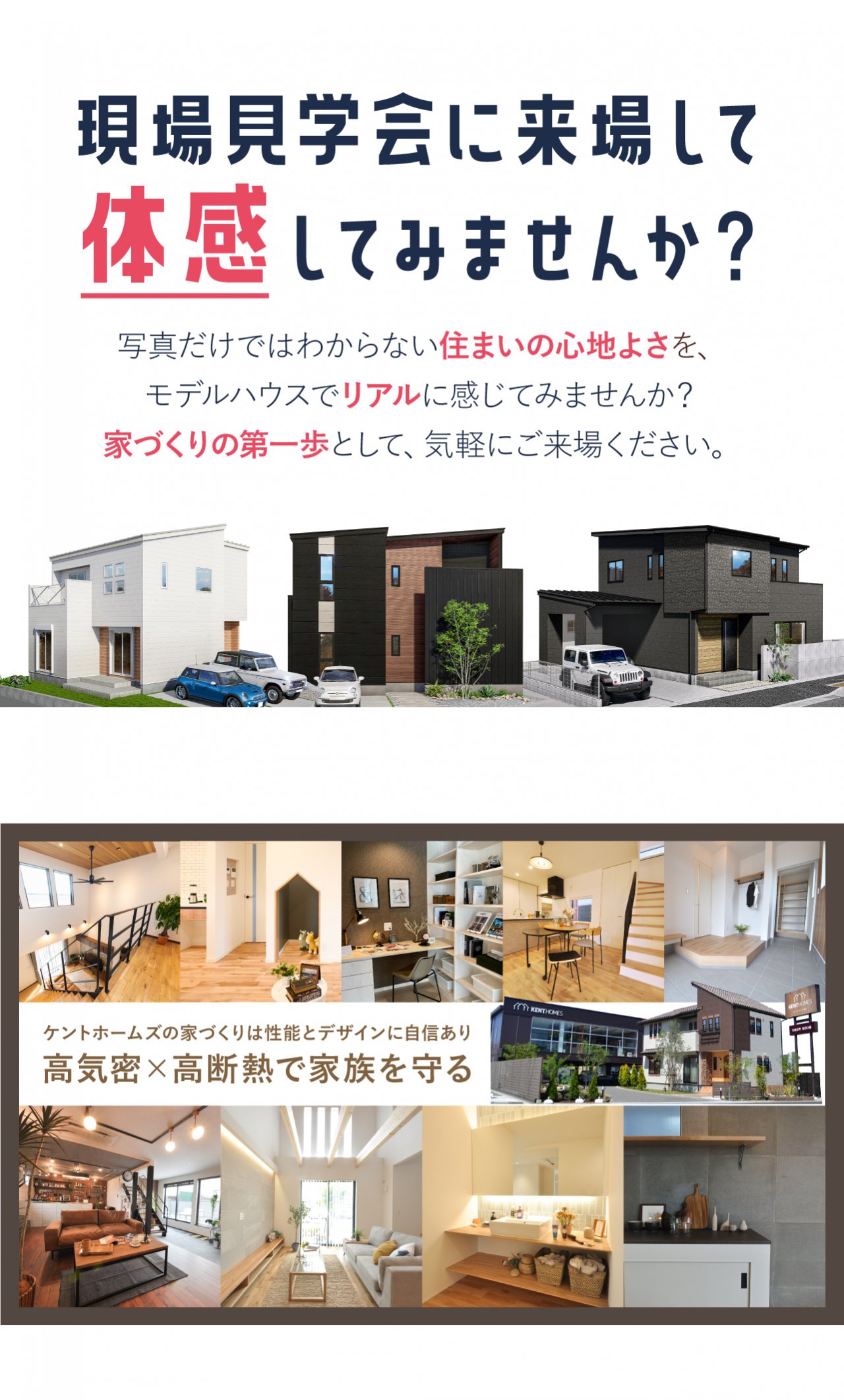 写真3