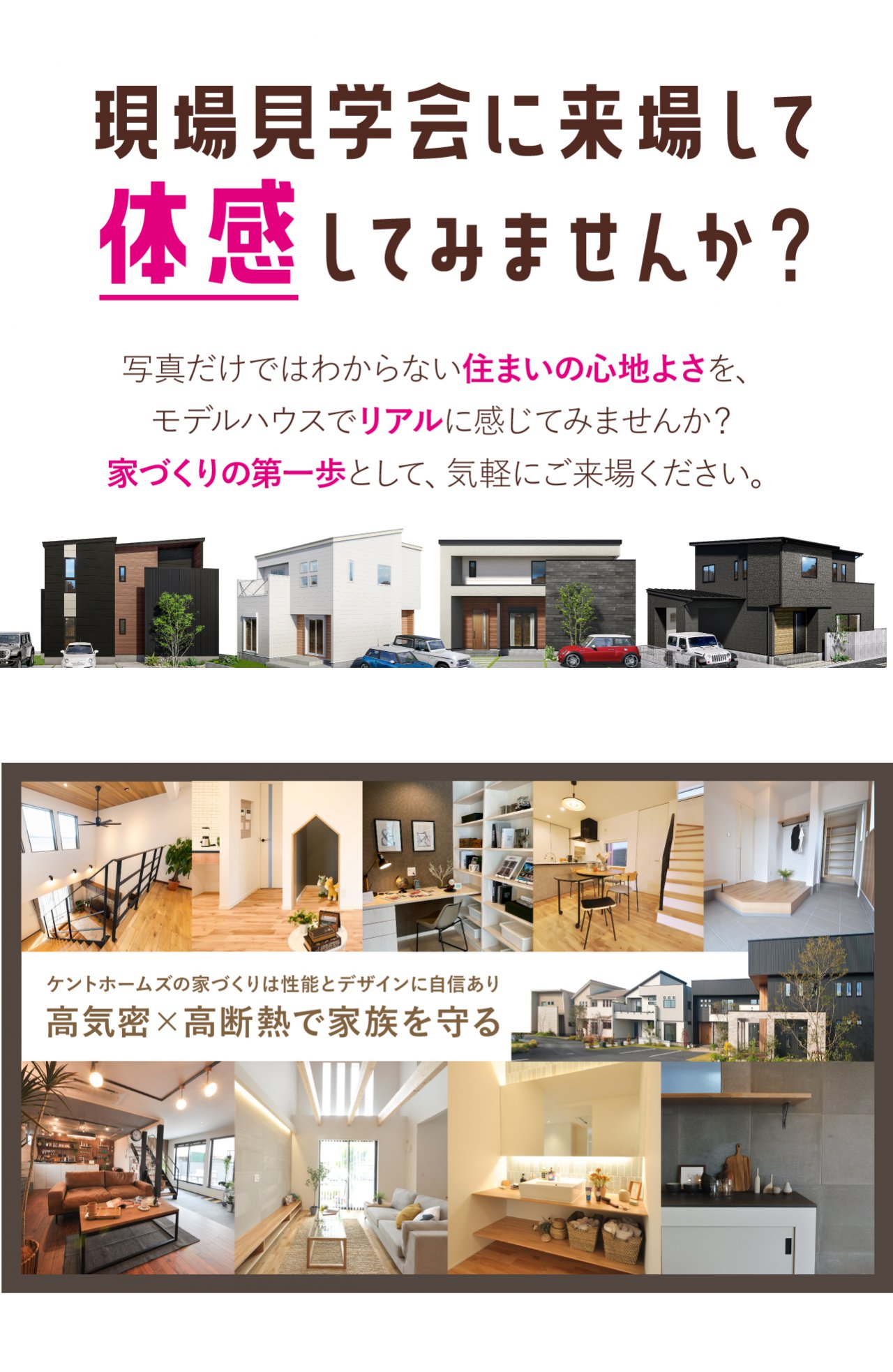 写真3