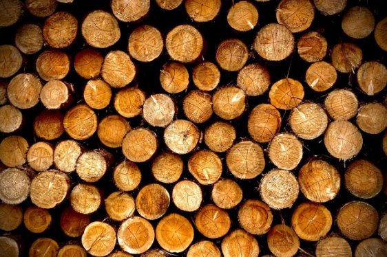 ウッドショックってなに?建築費用が高くなる!?