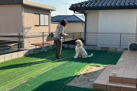 愛犬家の方必見!愛犬との生活がもっと楽しくなるドッグラン