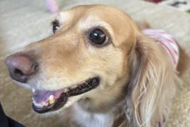 ベルちゃんです(^^♪