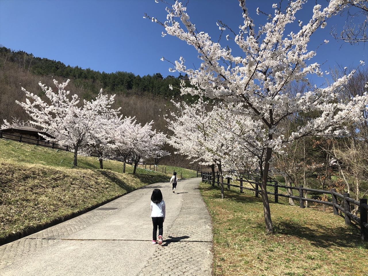 家族で公園散策