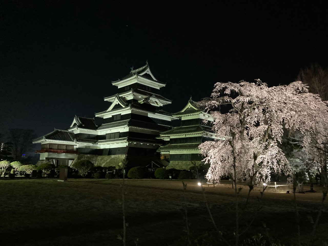 本丸庭園北