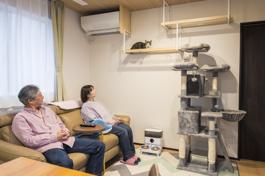 ネコちゃん2匹と暮らす家