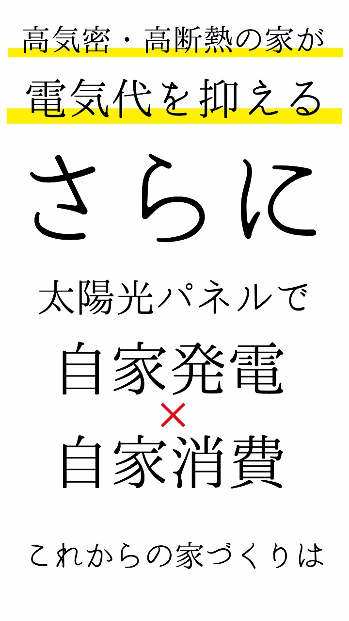 写真4