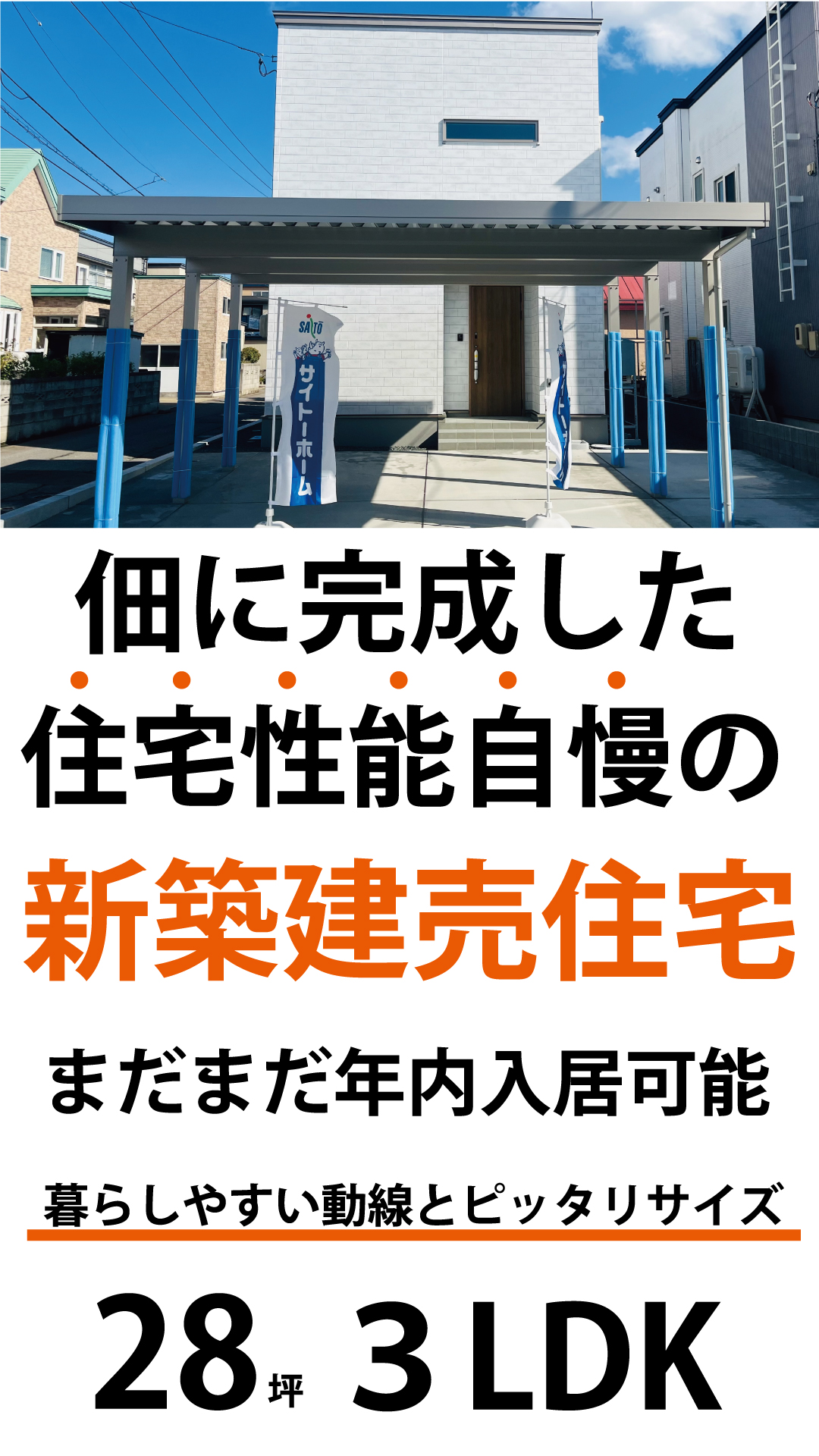 写真2