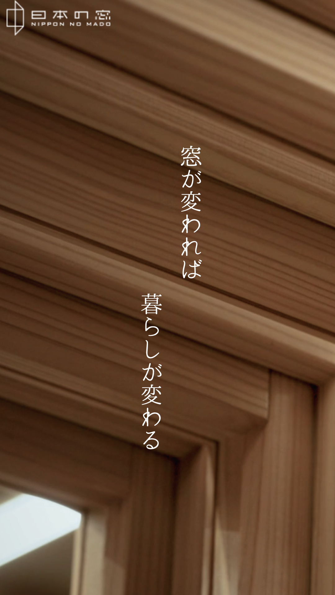 写真2