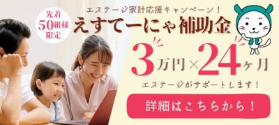 えすてーにゃ補助金