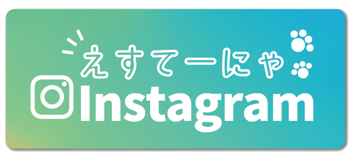 インスタバナー2