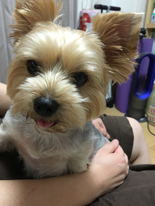 シェリーちゃん3