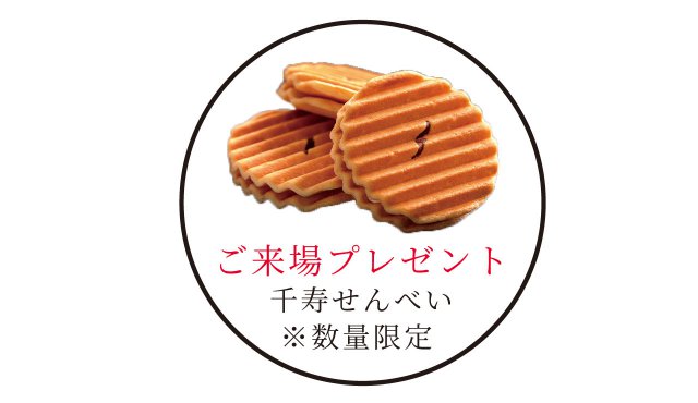 写真2