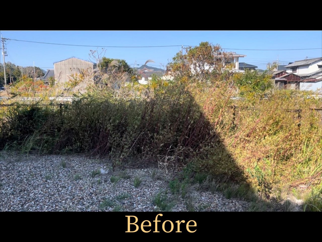 Before