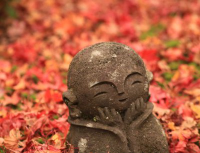 もうじき紅葉の季節です