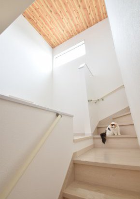 コミュニケーションブリッジと愛猫のいる暮らし