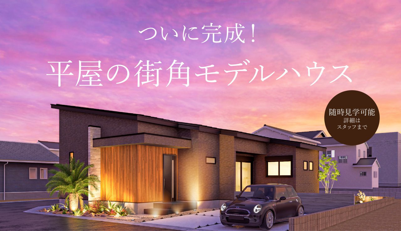 写真4