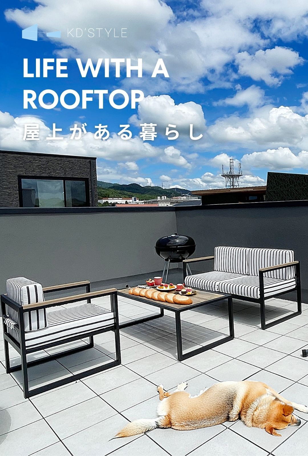 写真1