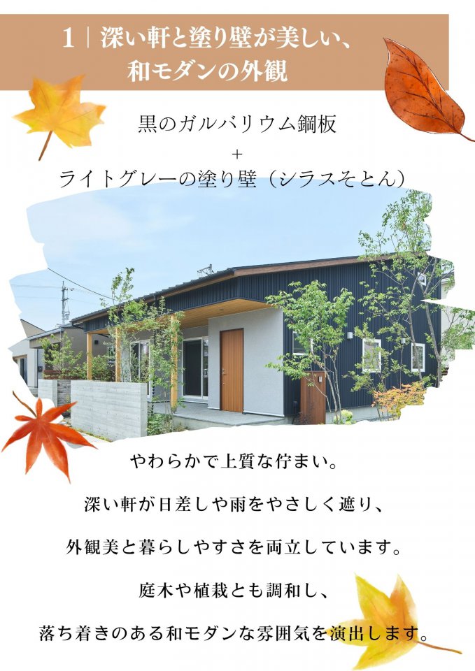 写真1