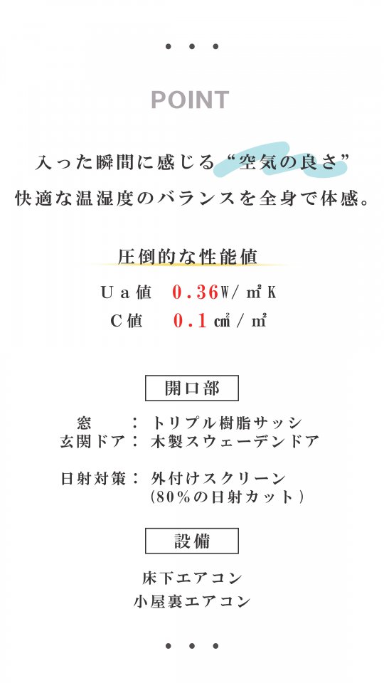 写真2