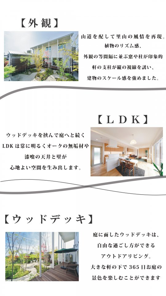 写真3