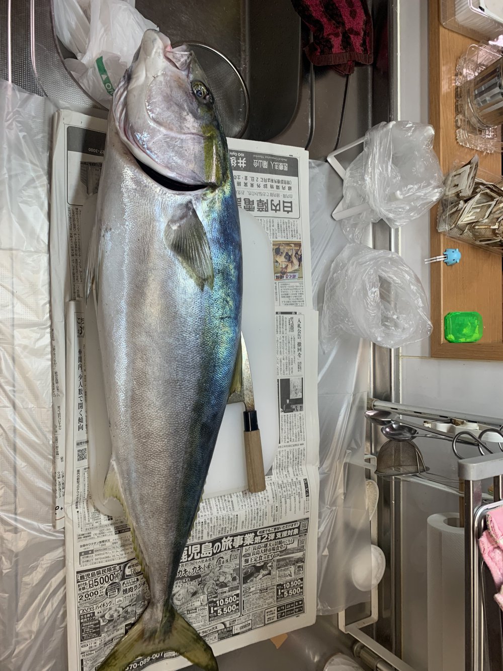 寒ブリの時期がやって参りました 鹿児島で注文住宅 新築一戸建て住宅を建てる Mbcハウス