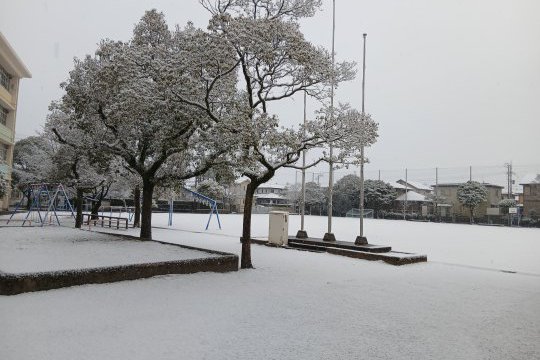構造見学会のお知らせ