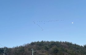 【盛岡南店】またね！