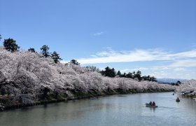 【一関店】弘前さくらまつり✿