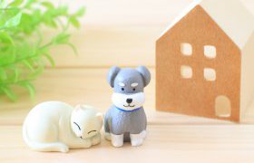 岩手県新築コラムvol.1685　新築でペットと暮らす①