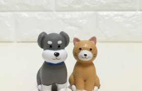 岩手県新築コラムvol.1686　新築でペットと暮らす②