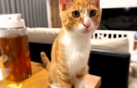 【花巻店】家族が増えました♩