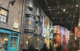 【花巻店】ライブと魔法の世界へ行ってきました！