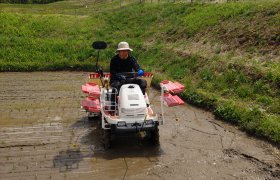 【大船渡営業所】田植えです